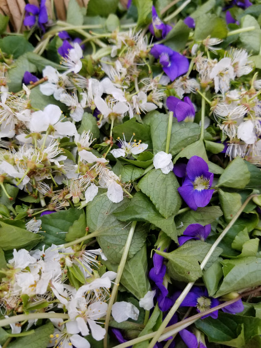 St. Louis Tea Club - March & April 2020